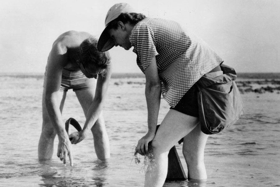 In this black and white photo, two people stand in the ocean surf and look down into the water, apparently collecting something