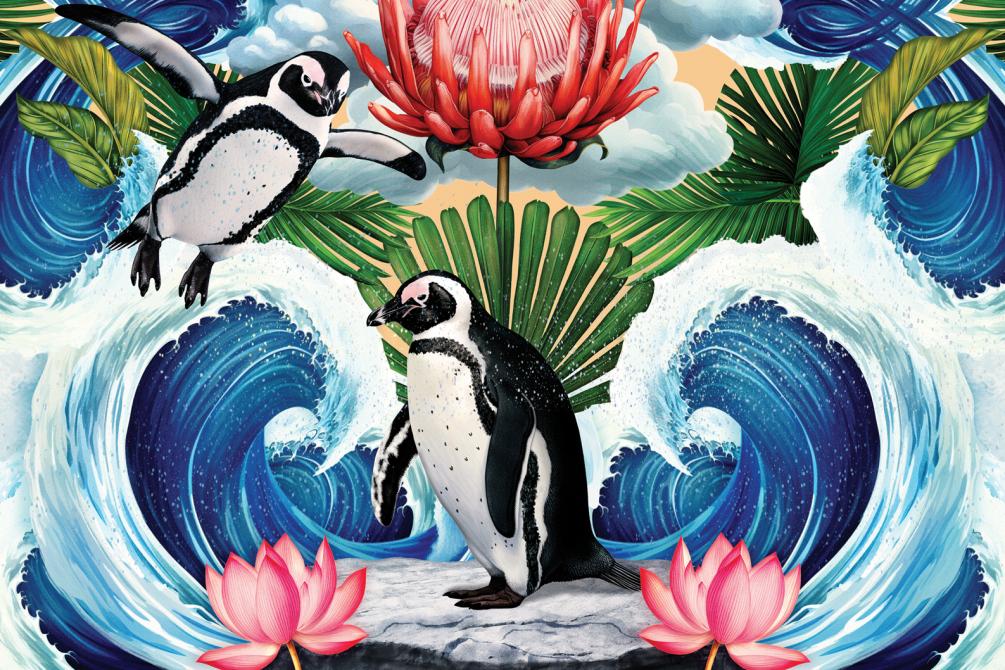Colorful zoo illustration featuring penguins and tropical plants
